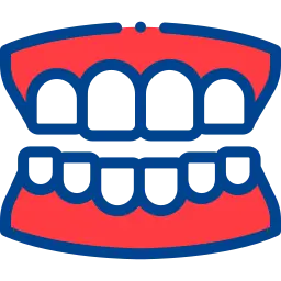 Denture